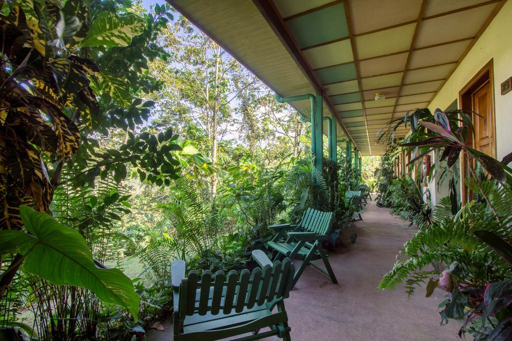 Lands In Love Hotel And Resort Colonia Palmareña Екстериор снимка